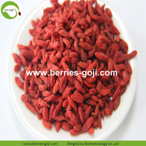 Factory Fruits Premium Low-Sulfur Goji Berry