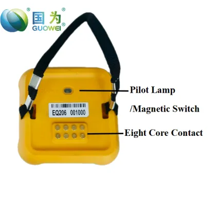 Best New 5Hz Metal Detector EQ206 for Oil and Gas Exploration