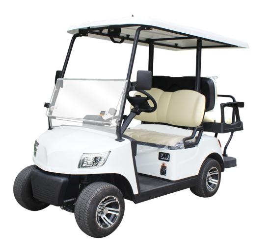 Analysis of China's Electric Sightseeing Car Production and Sales