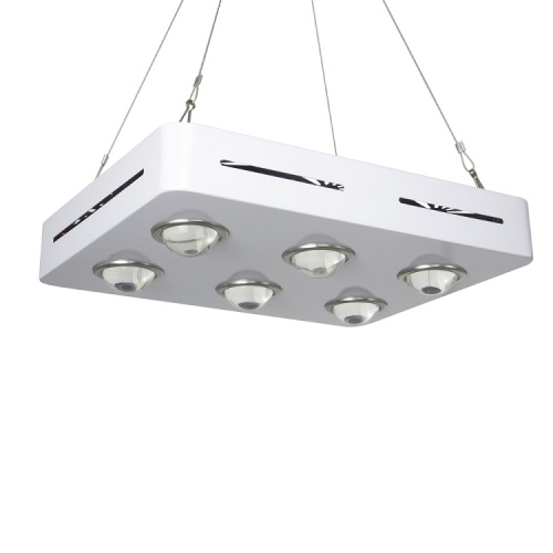 COB LED Grow Light Full Spectrum for Indoor
