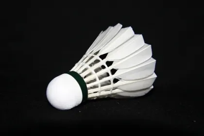 Badminton shuttlecock D-3380