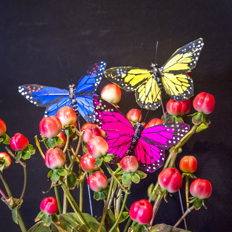 Decoración de aula de mariposa