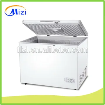 portable mini freezer 12 volt