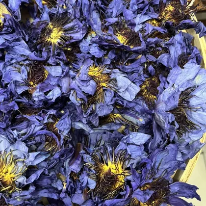 Flavored Herb Health Tea - Flor Hecha Mano, Lily, Agua Egipcia, Flor Loto Azul, Seca, Bolsa Te Navidad