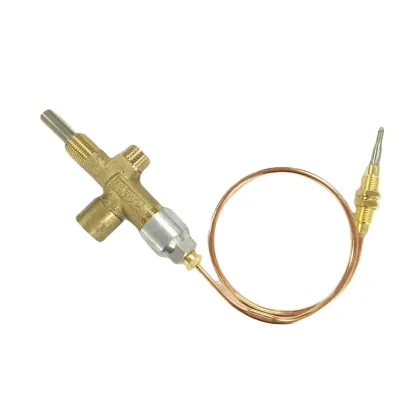 Control Valve and Safety Valve for Burner Gas Heaters: Understanding Internal Magnet Technology