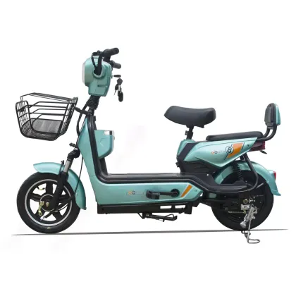 Yama Factory OEM Custom Electric Bike with 350w 48v 12ah Lead Acid Battery