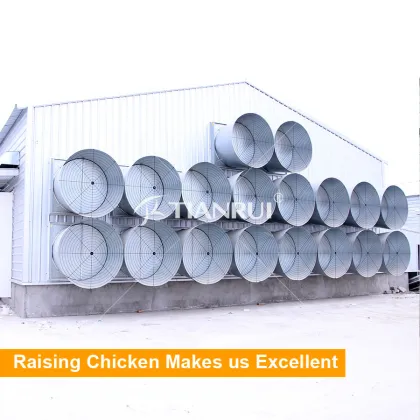 China manufacturer prefabricated poultry farm structures