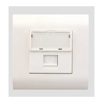 LEGRAND Data socket