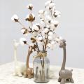 White 7 Head Cotton Cheap Home Decoration Kapok Dried Flower Bouquet Pampas Grass
