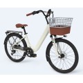 Customized Electric Bike For Ladies