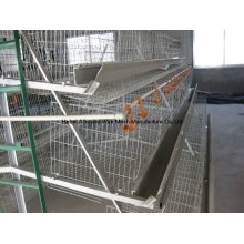 Different Types of Chicken Cage