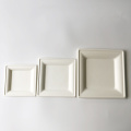 Piastre di bagasse bianche quadrate compostabili 20x20cm