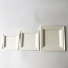 10 &#39;&#39; Composteerbare Bagasse Square White -platen