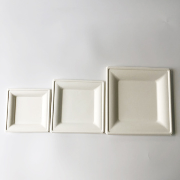 10'' compostable bagasse square white plates