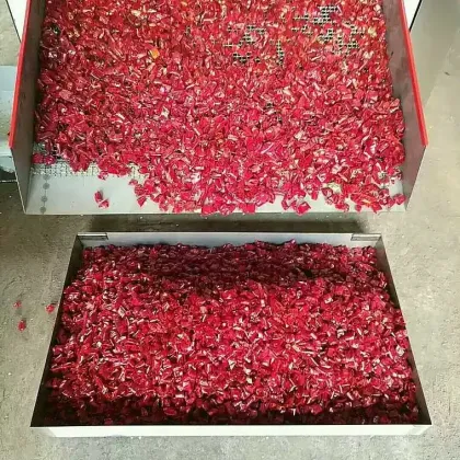 Jiangyin longchang chili cutting machine