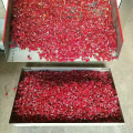 Máquina de eliminación de semillas de la máquina de corte de pimienta seca