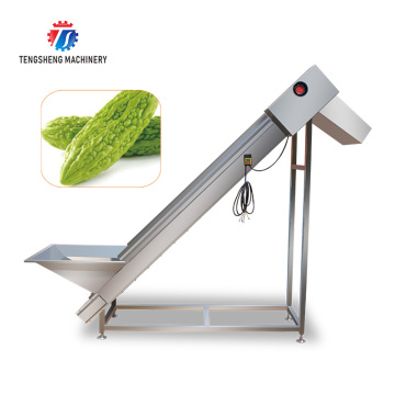 High Quality Food Grade Melon Seed Hopper Bucket Elevator Conveyor Belt Machine