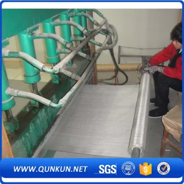 stainless steel inox Wire Mesh Filter