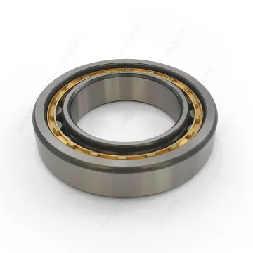 NU1009M1 Cylindrical Roller Bearings, Size 45x75x16 mm, HXHV, Chrome Steel, Brass Retainer