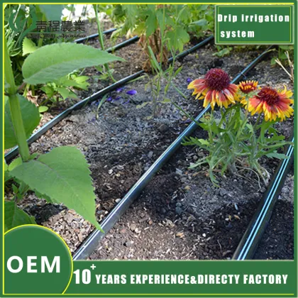 Advanced Drip Irrigation System