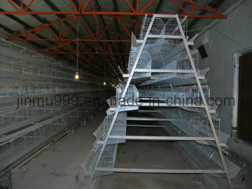 Chicken Breeding Equipment (JF-djl-3c002)