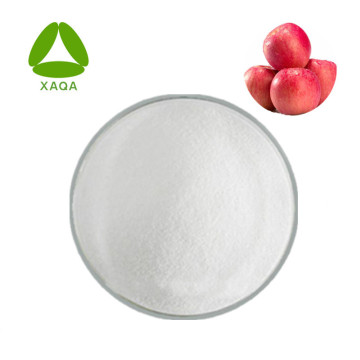 Apple Bark Extract Phlorizin Powder 98%