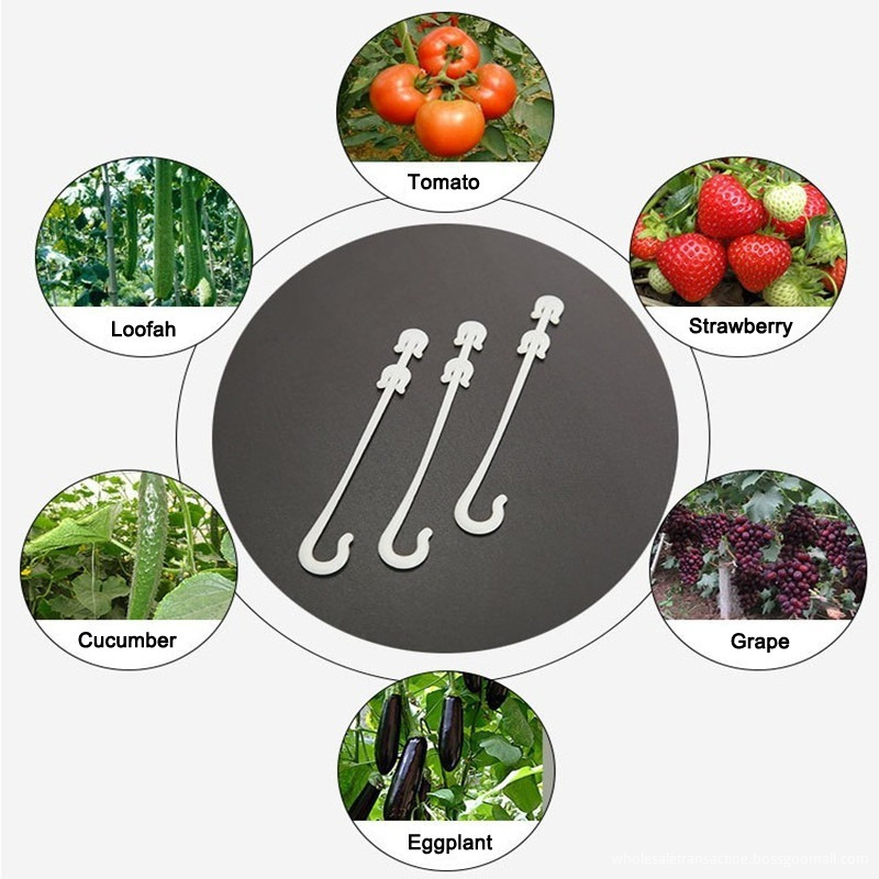 Ordinary 50 Pcs Agricultural Ear Hook Farming Tomatoes Greenhouse Clamp Fruit Vegetable Fix