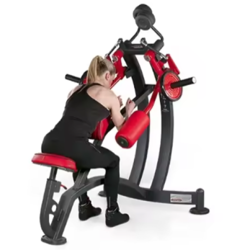 Back Exercise Machine Gym Commercial Fitness Equipment