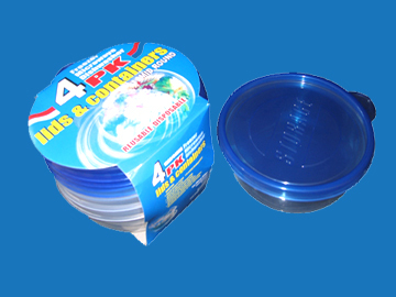 Disposable Food Container