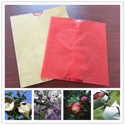 Three layer apple growing paper bag Inner bag could separate