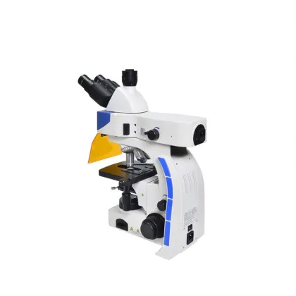 Zeiss Dichroic Mirror Fluorescence Microscope with DAPI Filter: A Comprehensive Guide for Advanced Imaging Techniques