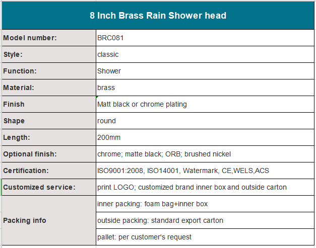 8 Inch Brass Rain Shower head