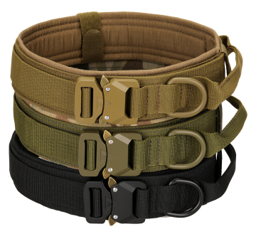 Kango bán buôn Nylon Chó khai thác và bộ chì - PVC nhiều màu được phủ cho những con chó nhỏ đến lớn