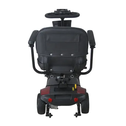 Electric Mobility Scooters: Popular Folding Scooters, Carriers, and Parts