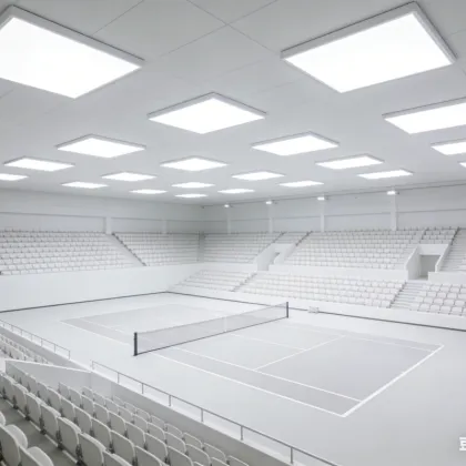 Ceiling-mounted LED ambient light