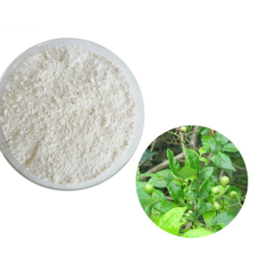 Supply Vine Tea Extract Dihydromyricetin Powder 98%