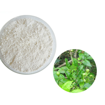 Supply Vine Tea Extract Dihydromyricetin Powder 98%