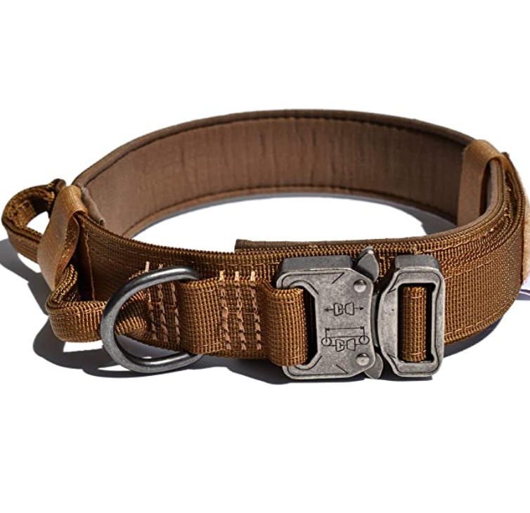 Dog Training Collar