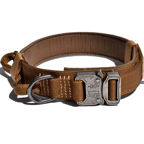 Heavy Duty Dog Collar with Handle