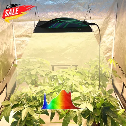 Professional Led Grow Lights