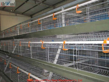 automatic chicken drinker for poultry  