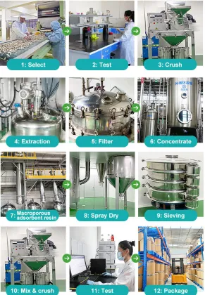 maca root extract powder / Maca Extract/maca powder