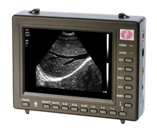Palmtop Diagnostic Ultrasound Equipment for Veterinary Purpose (Am-2000V)
