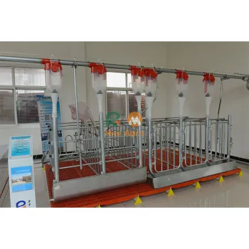 Most Popular Best Selling pregnant pig pregnancy gestation crates farm