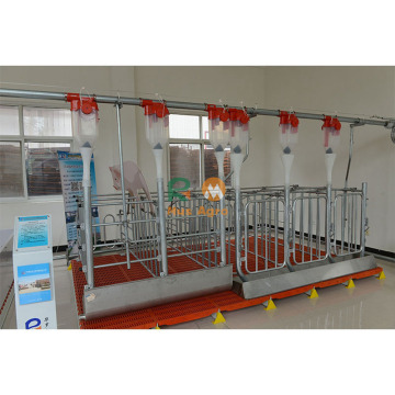 Most Popular Best Selling pregnant pig pregnancy gestation crates farm