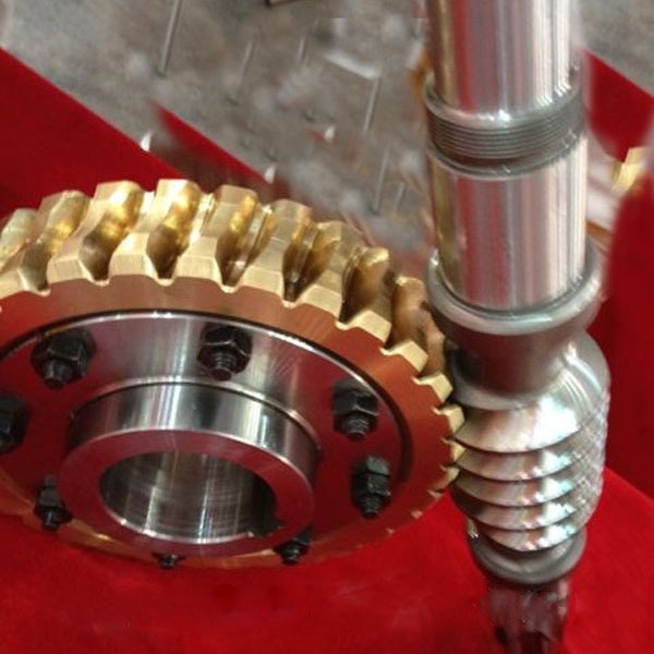 Customized Machinery Accessories Worm Gear and