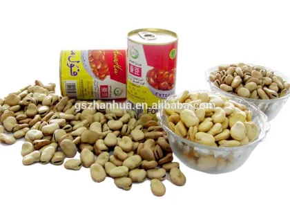 2016 Crop Broad Beans Fava Beans Price