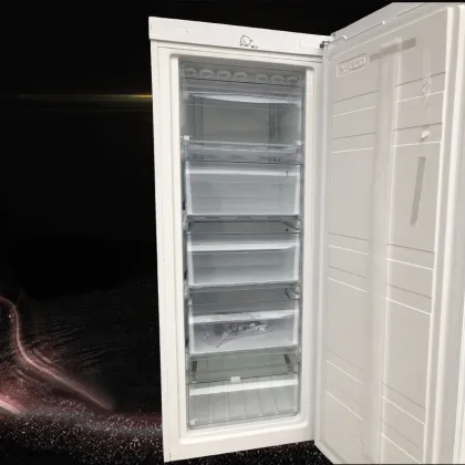 Home Appliance Refrigerator Drawer Mold