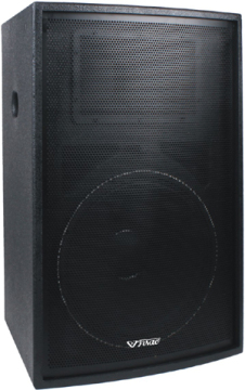 300W Professional Speaker (ST12) Cheap Price&High Quality