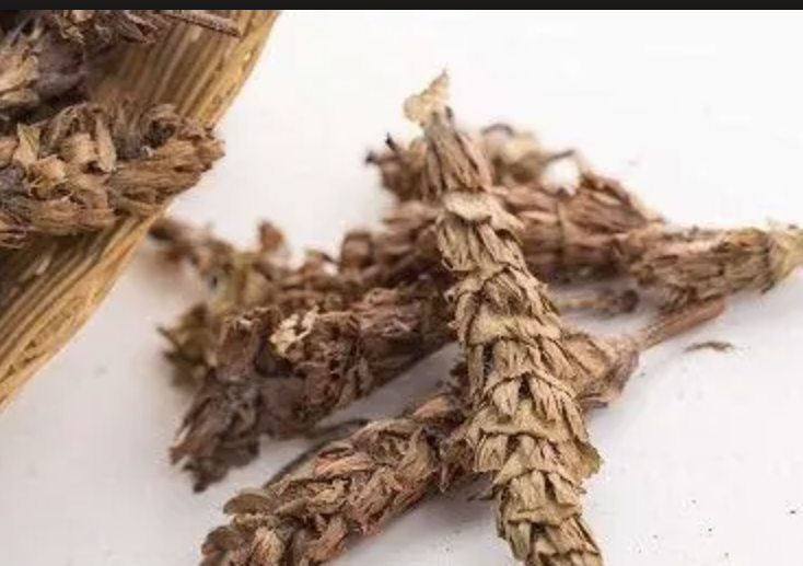 Prunella Extract Supplier